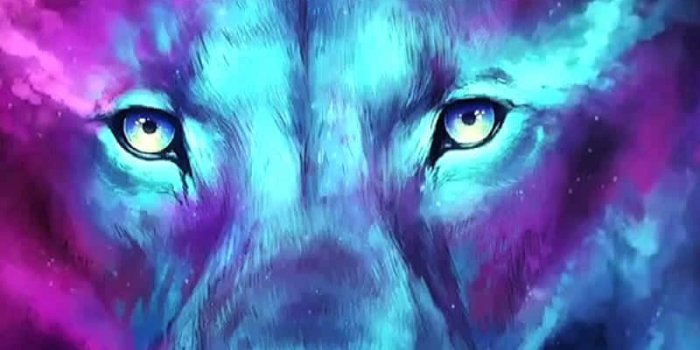 800x1422 Cool Animal Galaxy! Wallpaper