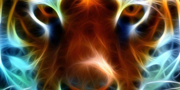 1095x957 HD Neon Animals Wallpapers APK for