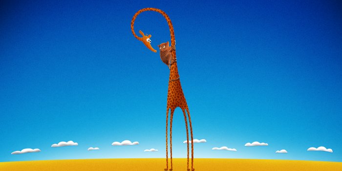 2560x1600 Cool Animals Wallpapers | Wallpapers HD