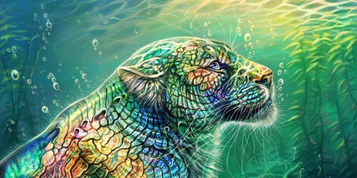 1366x768 Fantasy Animal Cool HD Wallpapers