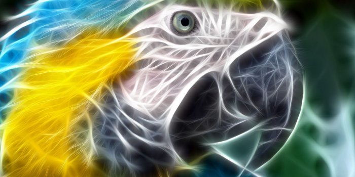 1600x1000 Art Animal Wallpaper part 1 | Freelance