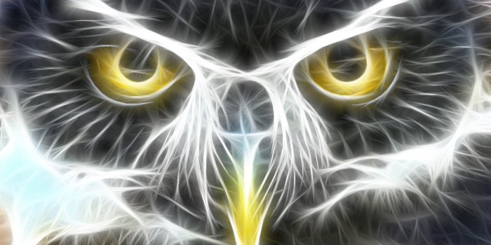 1366x768 Cool animal wallpaper light #15