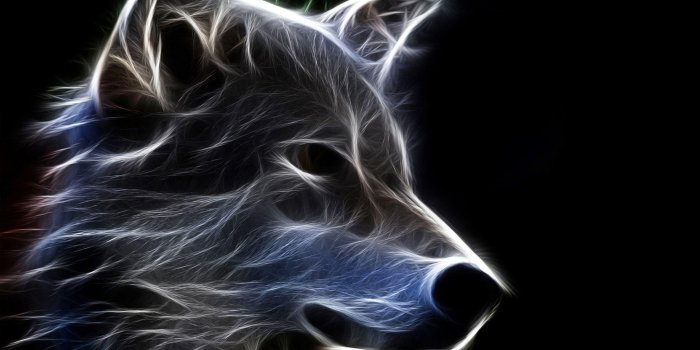 2560x1920 HD Neon Animals Wallpapers APK for