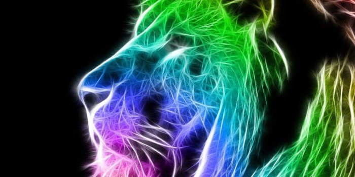 1024x768 Neon animal clearance wallpaper