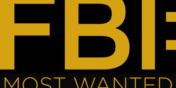 1200x716 Fbi HD Wallpapers (100++) - MrWallpaper.com