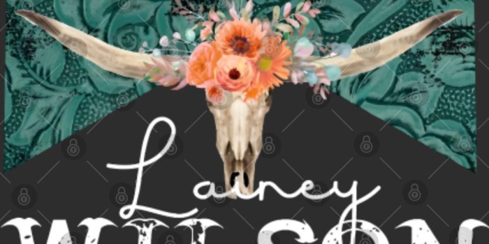 960x960 House Flags, Lainey Wilson Merch