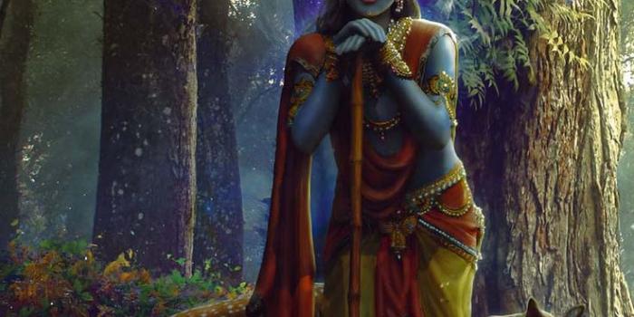 736x1308 Shree Krishna iPhone Wallpaper HD