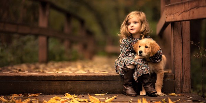 2560x1440 Cute Little Girl with Golden Retriever
