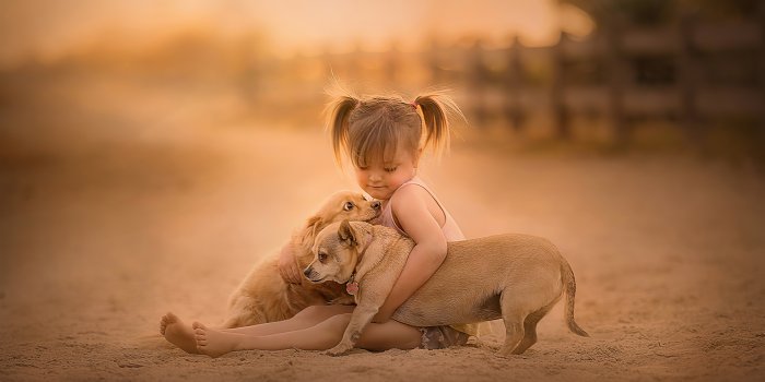 1920x1080 1920x1080 Little Girl With Cute Pups
