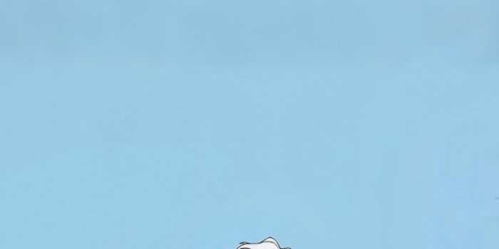 736x1308 Hajime Umemiya - WIND BREAKER