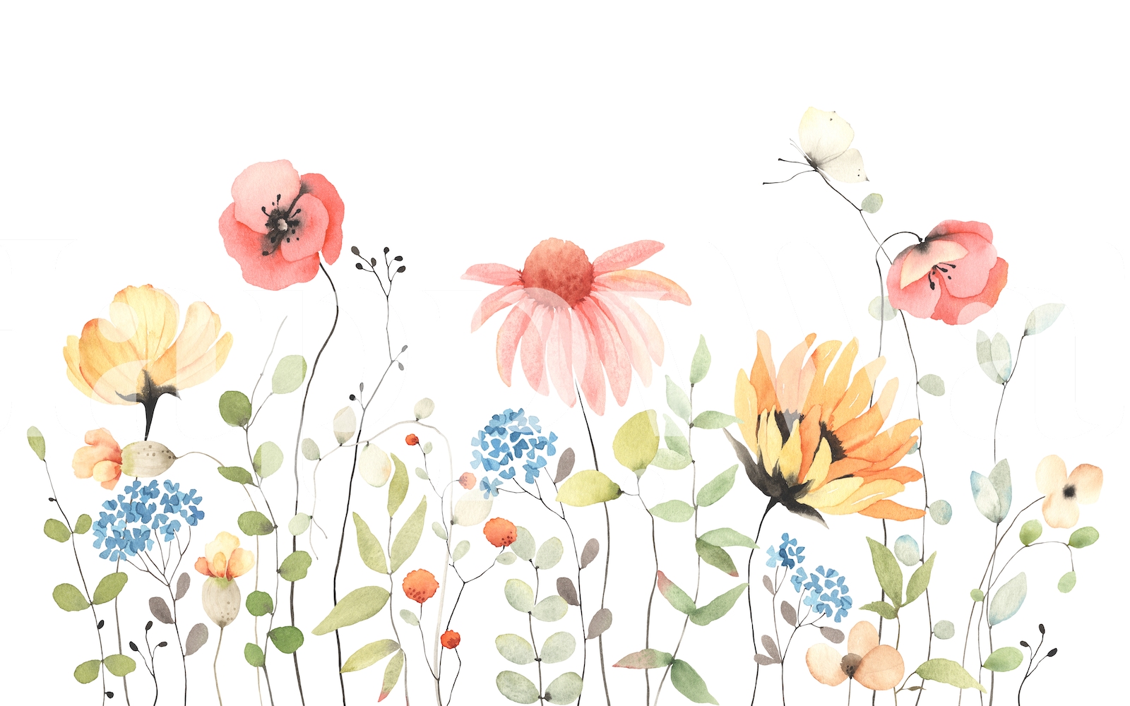 1600x1000 Summer Wildflowers Wallpaper - Bring