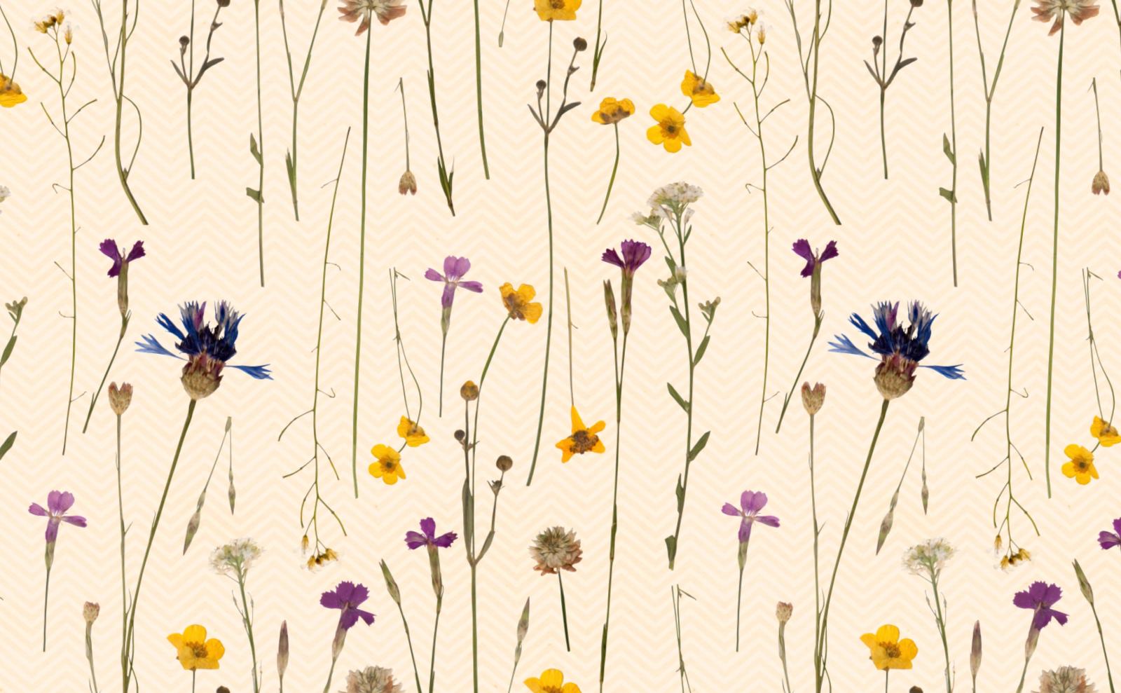 3028x1872 Delicate Wildflowers Wallpaper for