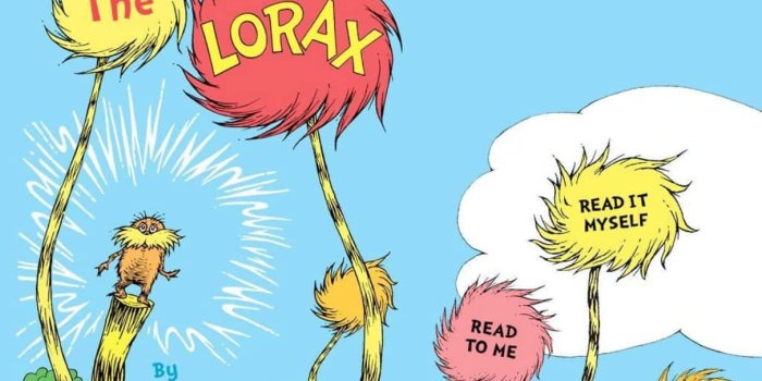 1211x908 Lorax By Dr Seuss Wallpaper