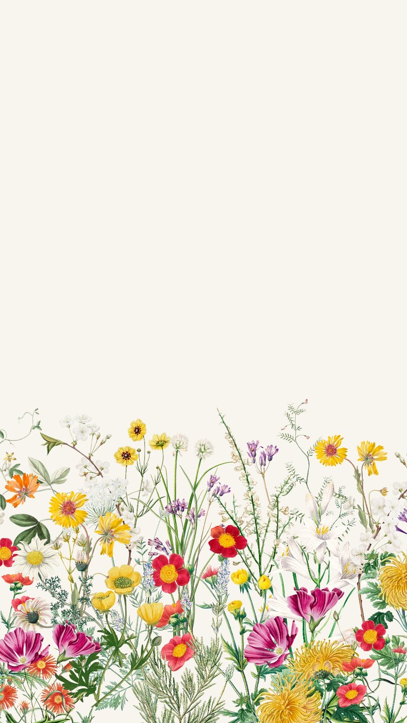800x1422 Wild Flower Wallpaper Background Images
