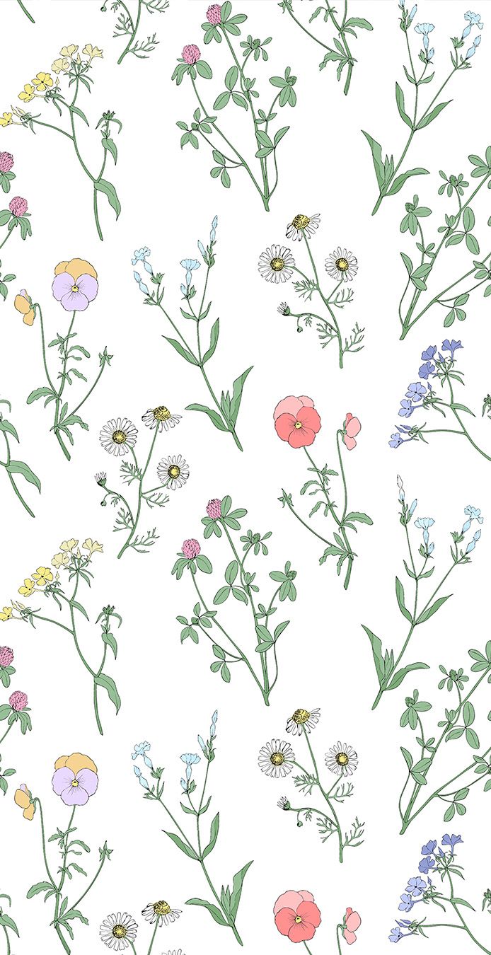 694x1350 Wildflowers on a white background