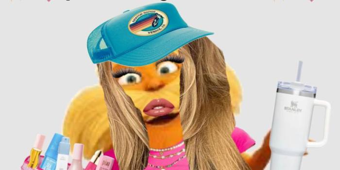 736x1308 Shuffles #preppy#lorax#preppyLorax