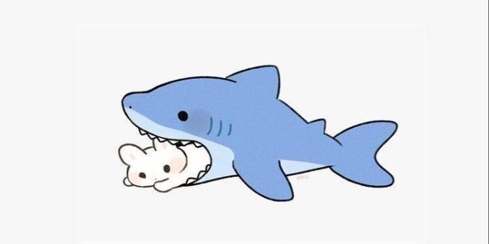 750x1332 Cute Shark Wallpapers