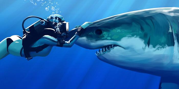 1920x1080 HD Wallpaper of a Diver Encountering a