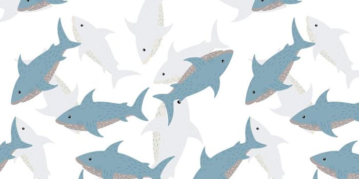 1155x750 Cartoon Shark Wallpaper for Home | Ever