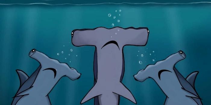 1080x1920 Boat With Sharks Wallpaper