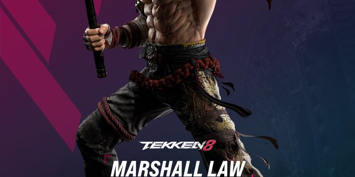 2048x2732 Tekken 8 Marshall Law Wallpaper - Cat