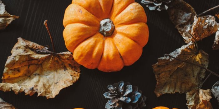 792x1183 50 Fall iPhone Wallpapers | POPSUGAR Tech