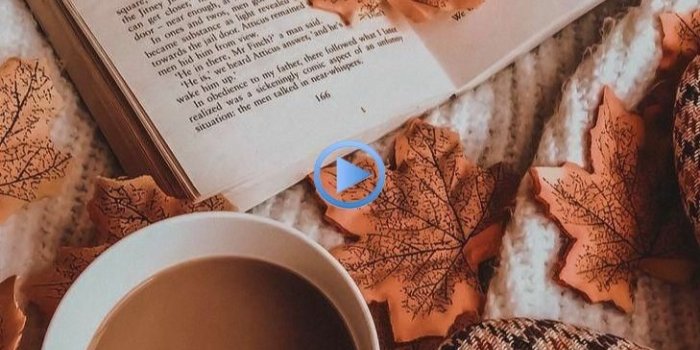 729x1294 Peace of Mind