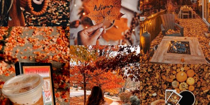 750x1433 20 Autumn Collage Wallpapers : Cozy Autumn Pumpkin 1 - Fab Mood | Colour +  Mood + Style Inspiration
