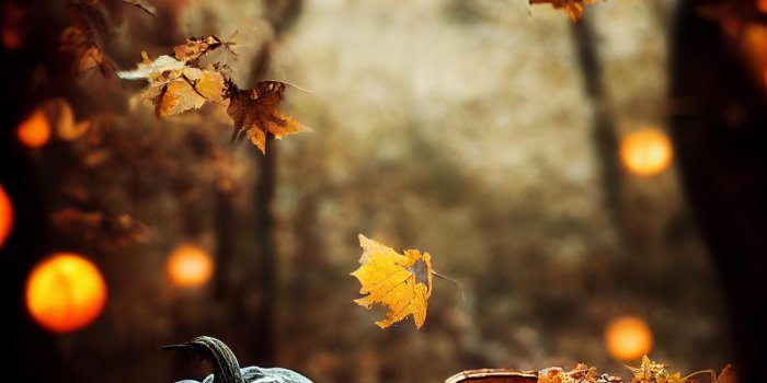 1664x2432 Some cosy autumn wallpapers : r/midjourney