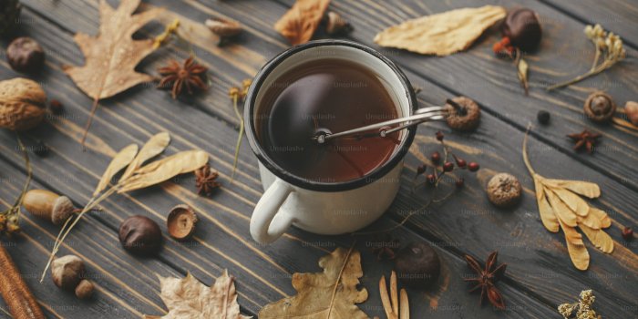 3000x2000 Cozy Autumn Pictures | Download Free