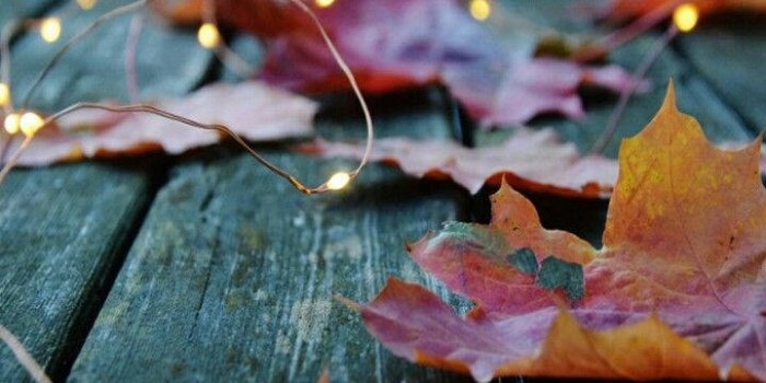 720x1280 Fall Aesthetic Iphone HD Wallpapers