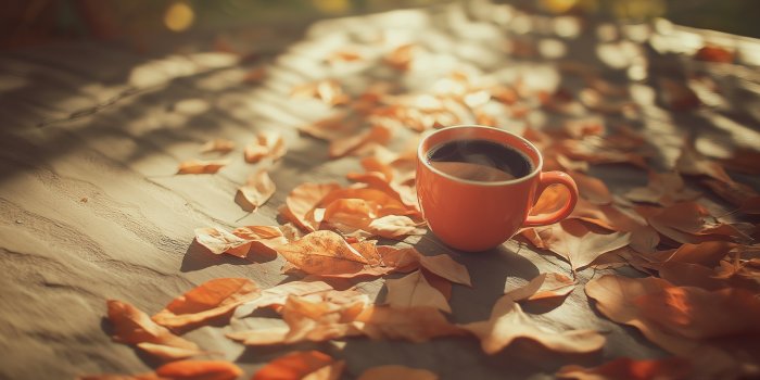 1920x1080 Fall Wallpaper - Cozy, Calm, Seasonal