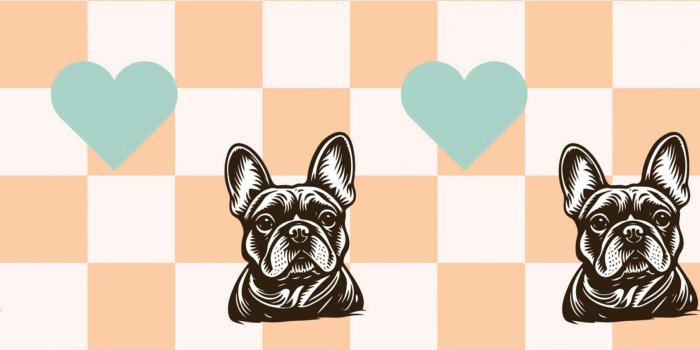 1707x2560 Peachy Frenchie Peel and Stick