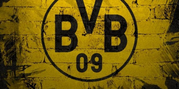 715x1470 Borussia Dortmund Wallpaper - Wallpaper Sun