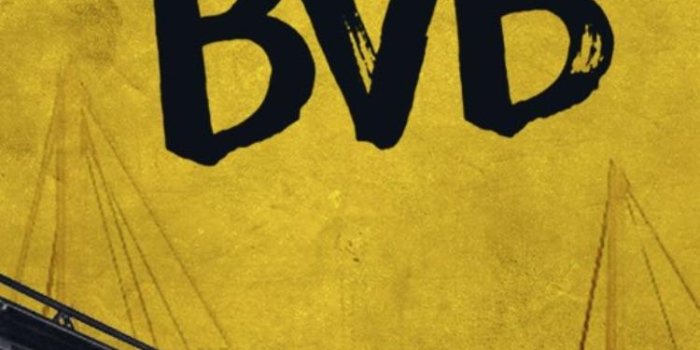 750x1334 wallpaper that the official BVB Twitter