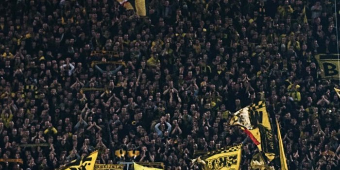 1080x1920 Download Dortmund Wallpaper