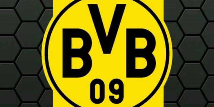 720x1278 Borussia Dortmund Wallpaper - IXpaper