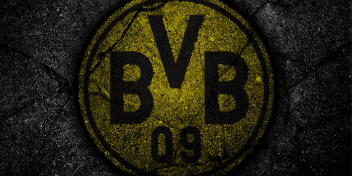 1920x1200 100+] Borussia Wallpapers | Wallpapers.com