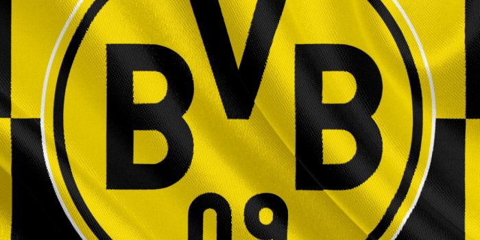 1080x1920 Sports, Logo, Emblem, Soccer, Bvb