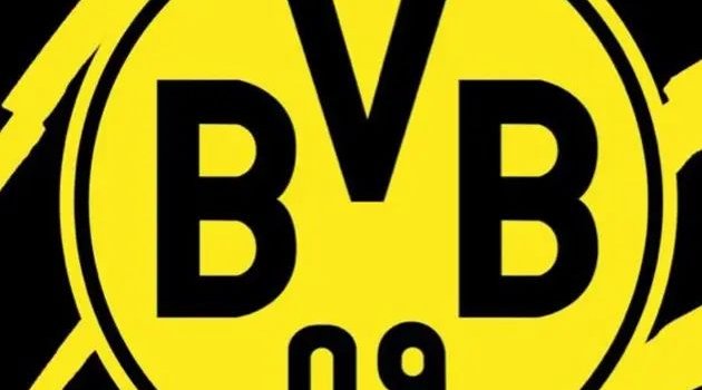 630x1280 Borussia Dortmund wallpaper by