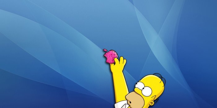 1920x1200 chromebook wallpaper 4k Free Download