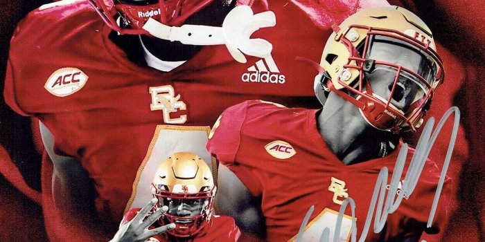 1250x1581 Zay Flowers Wallpapers