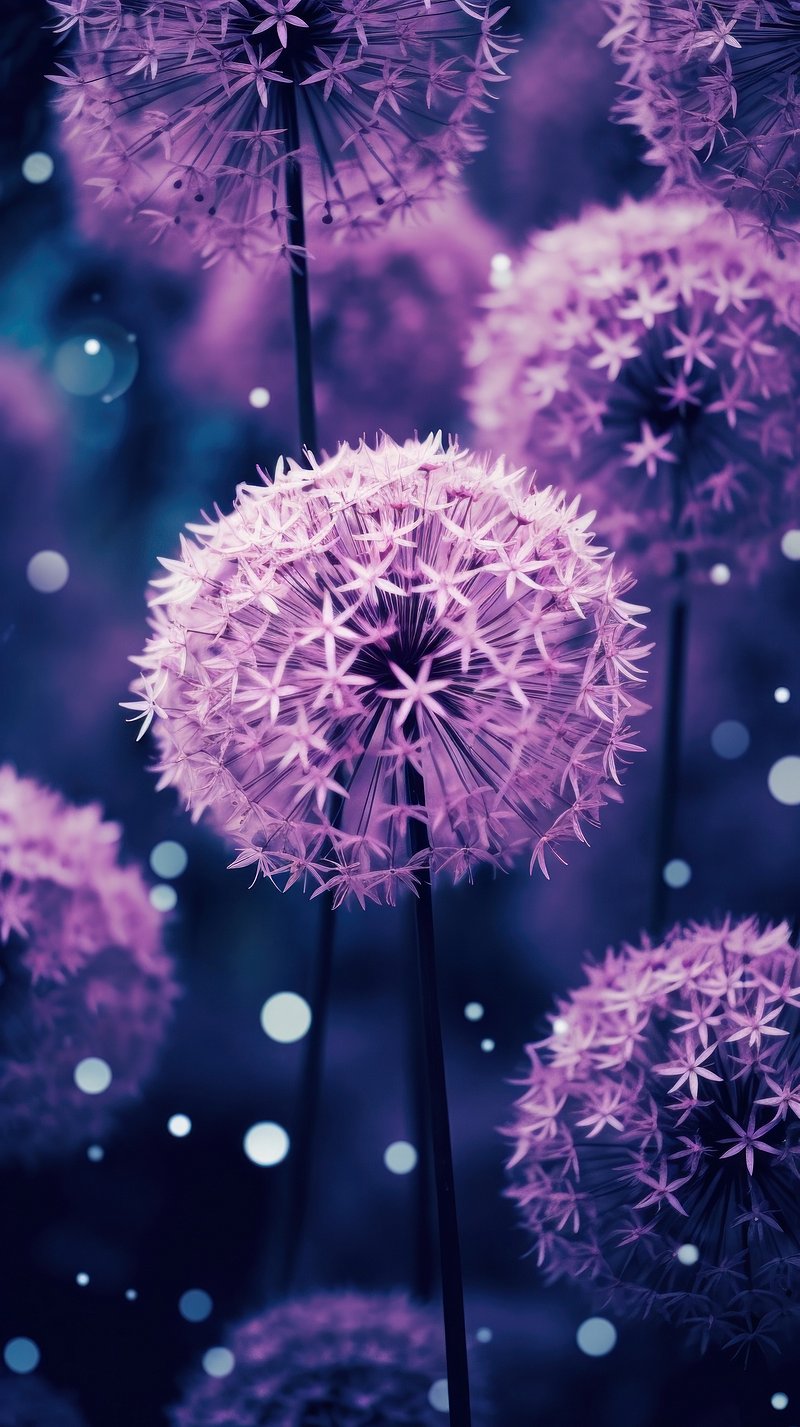800x1427 Dandelion Seeds Images | Free Photos
