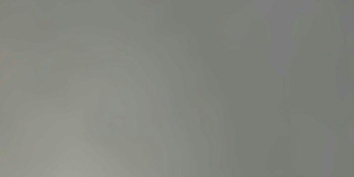 720x1442 Tai Lung Wallpaper