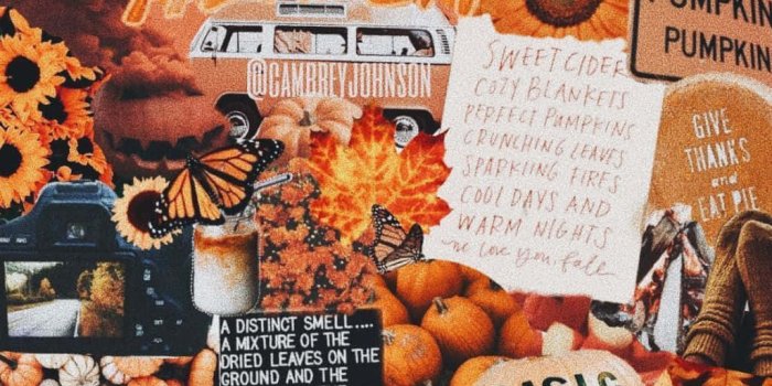 1025x1838 Download Get Ready For Halloween With