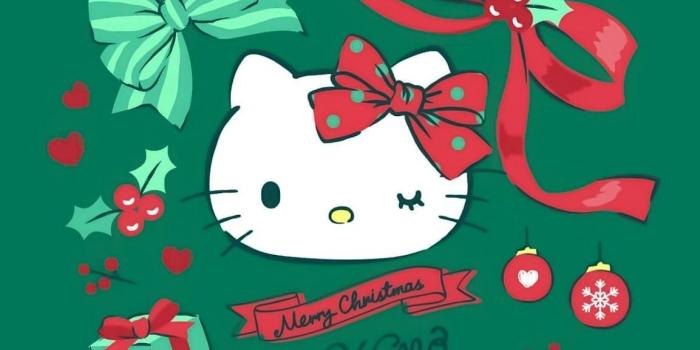 1153x2048 Background Sanrio Christmas Wallpaper