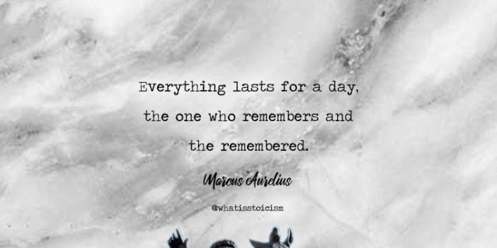 750x1334 Stoicism #Wallpaper