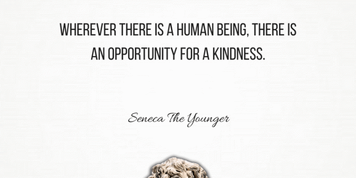 750x1334 Stoicism Phone Wallpapers