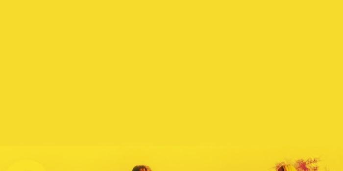 736x1308 KILL BILL
