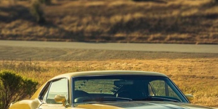 750x1334 Ford Mustang 1969 Wallpapers